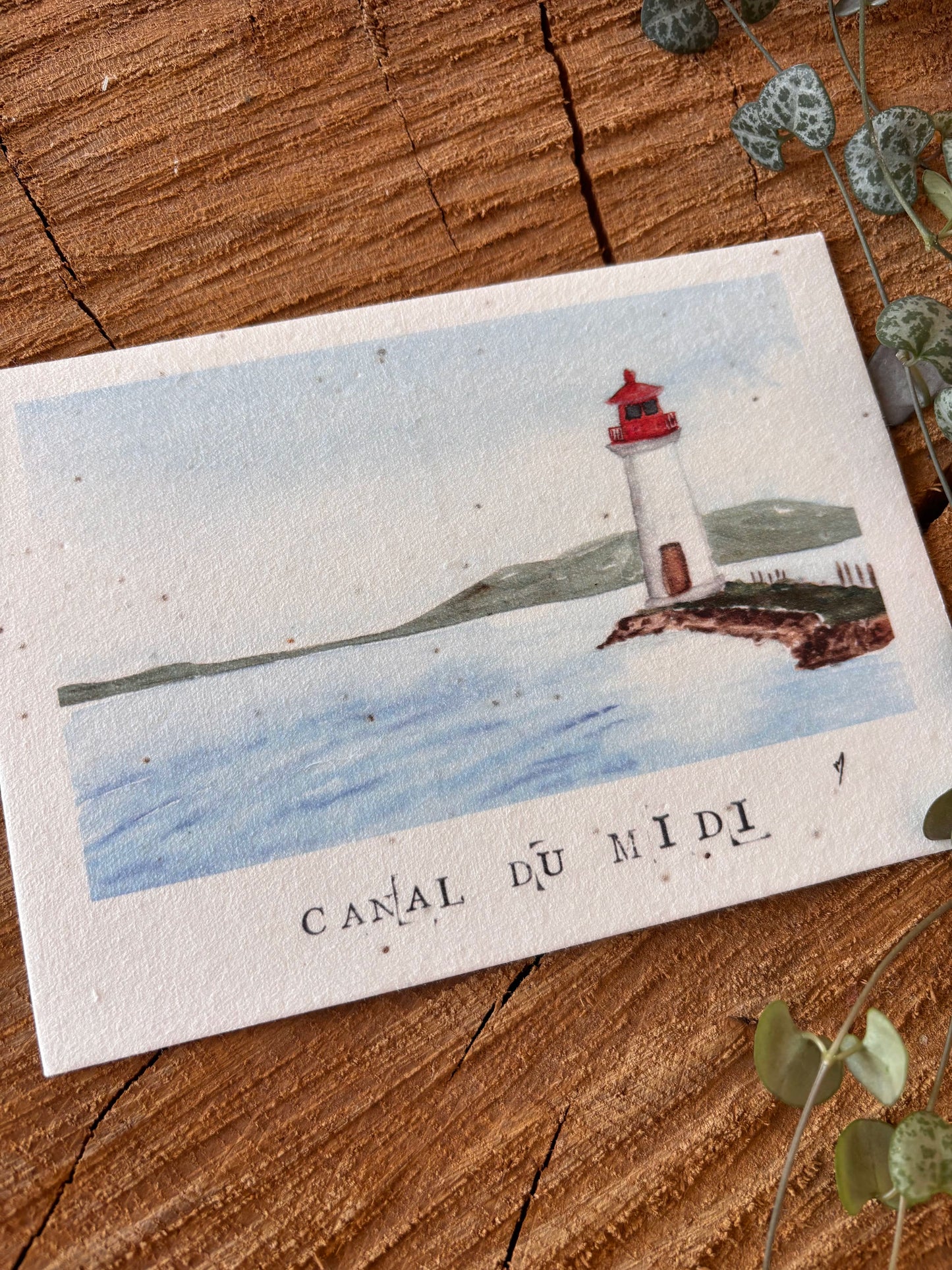 Canal du Midi - Hérault - Carte aquarelle - 10,5x14,8cm