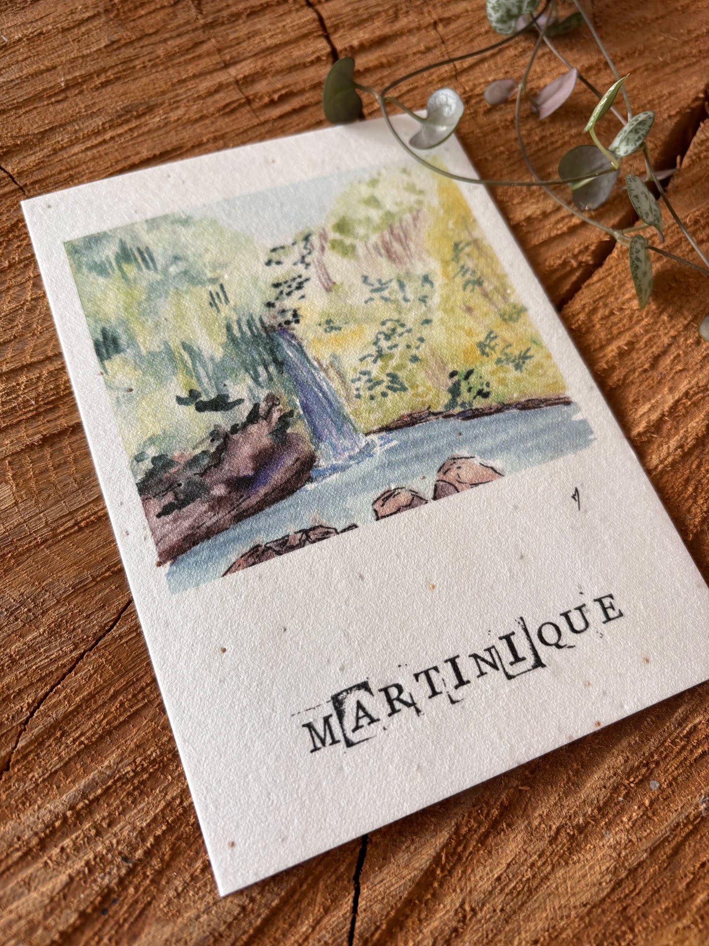 Cascade Didier - Martinique - Carte aquarelle - 10,5x14,8cm