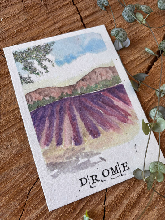 Drôme Provençale - Carte aquarelle - 10,5x14,8cm
