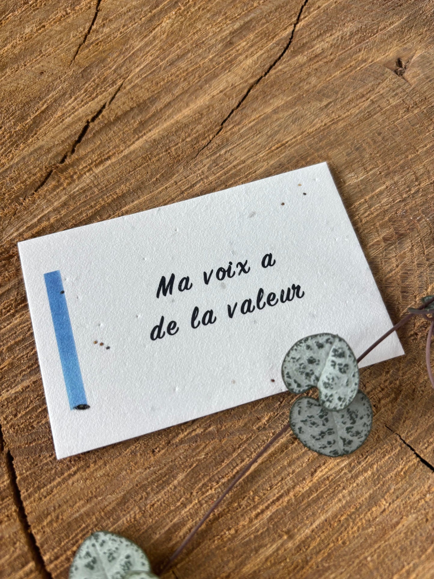 Ma voix a de la valeur - 5,5x8,5cm - Chakra Gorge - Carte ensemencée