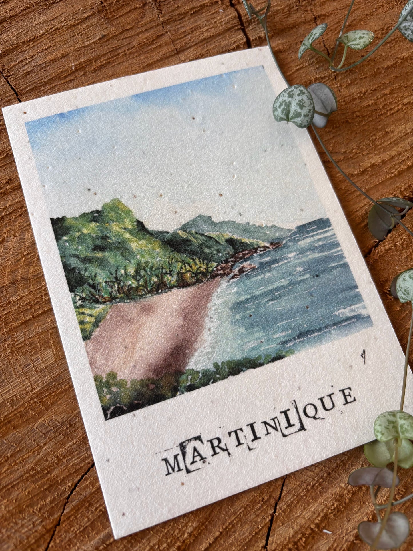 Grand-Rivière - Martinique - Carte aquarelle - 10,5x14,8cm
