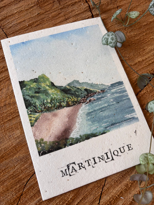 Grand-Rivière - Martinique - Carte aquarelle - 10,5x14,8cm