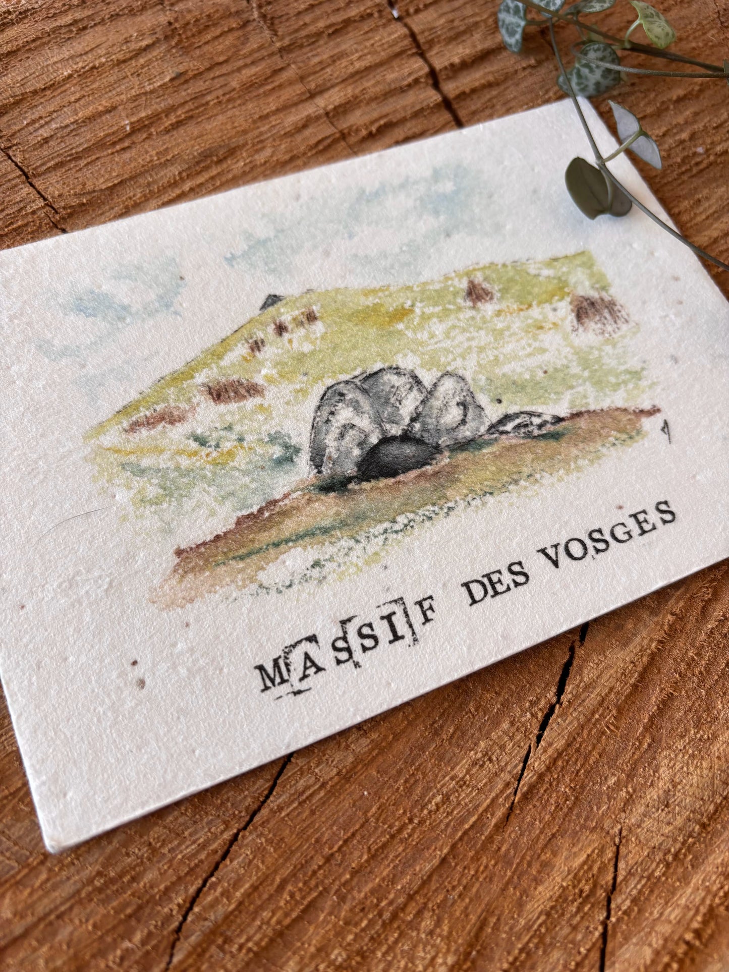 Hohneck - Massif des Vosges - Carte aquarelle - 10,5x14,8cm