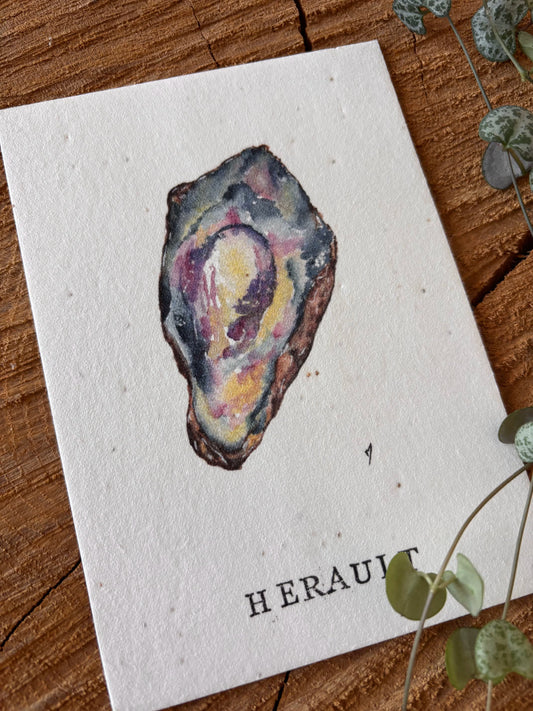 Huître de Bouzigues - Hérault - Carte aquarelle - 10,5x14,8cm