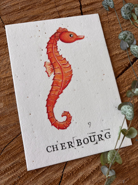 Hippocampe - Manche - Carte aquarelle - 10,5x14,8cm