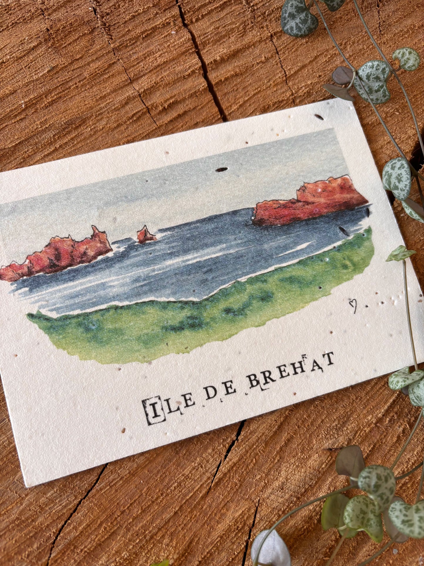 Ile de Bréhat - Côtes d'Armor - Carte aquarelle - 10,5x14,8cm