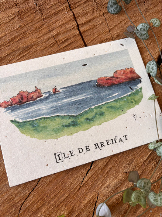 Ile de Bréhat - Côtes d'Armor - Carte aquarelle - 10,5x14,8cm