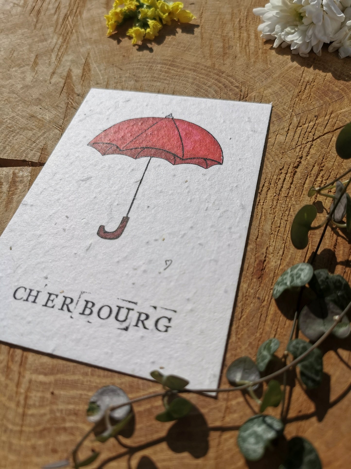 Parapluie de Cherbourg - Manche - Carte postale ensemencée