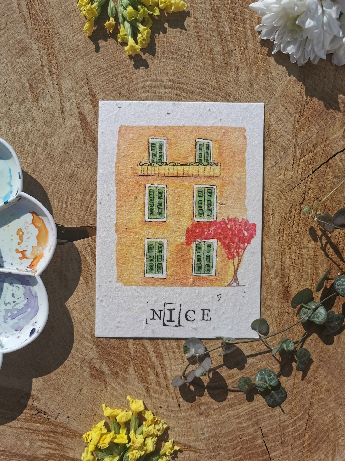 Façade Niçoise - Alpes-Maritimes - Carte postale ensemencée