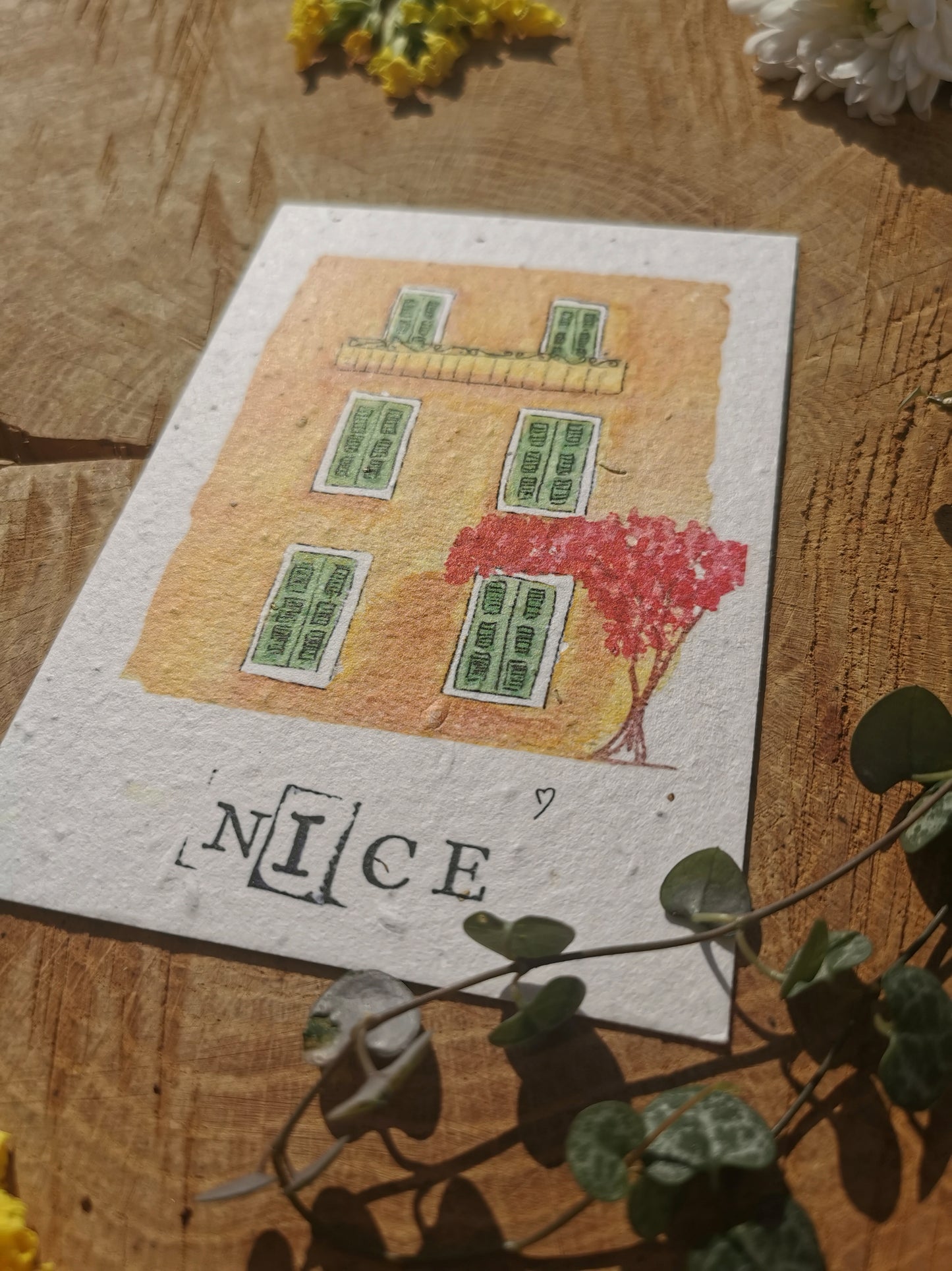 Façade Niçoise - Alpes-Maritimes - Carte postale ensemencée