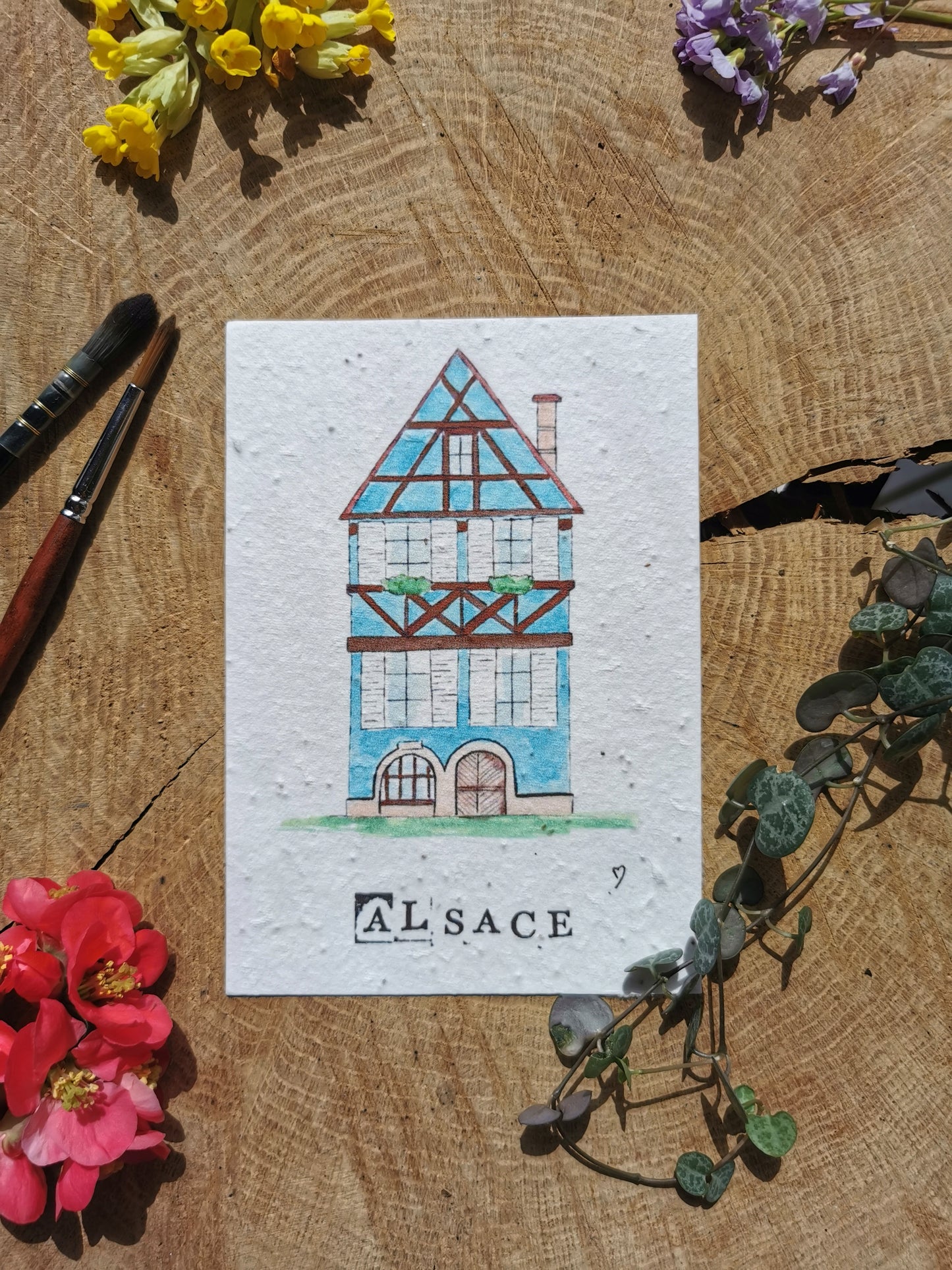 Maison à colombages - Alsace - Carte postale ensemencée