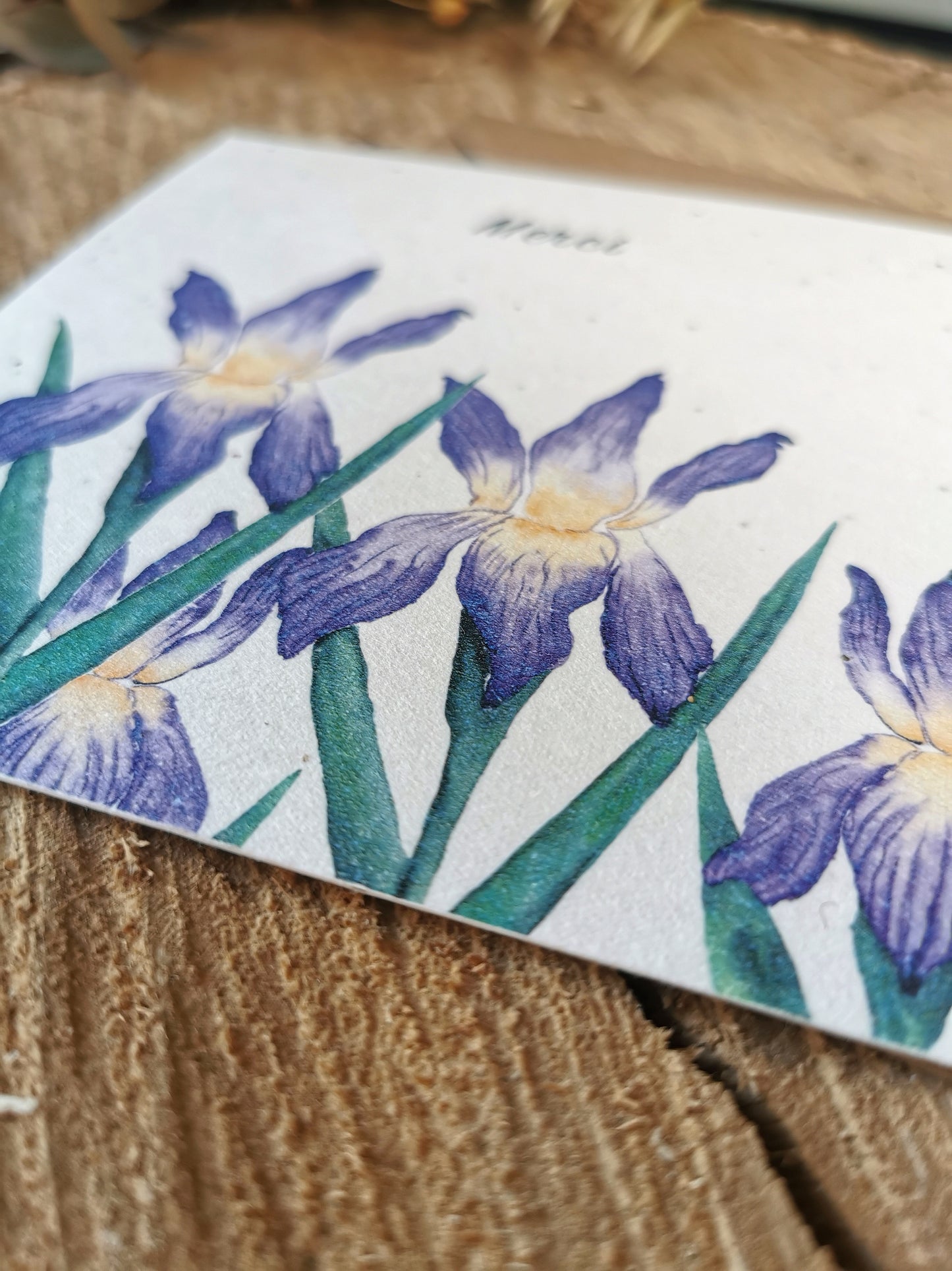 Merci Iris - 14x14cm