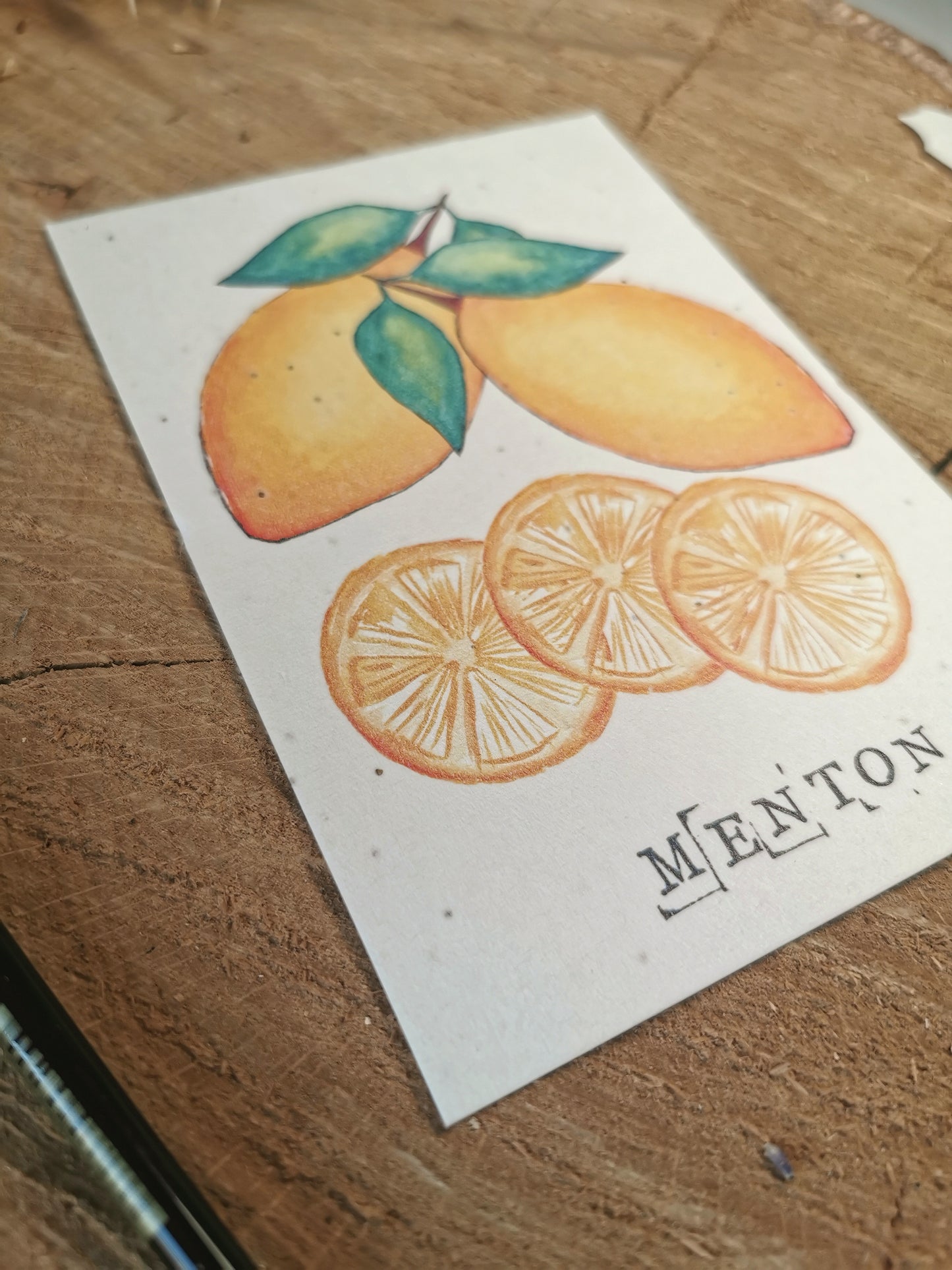 Citron de Menton - Alpes-Maritimes - Carte postale ensemencée