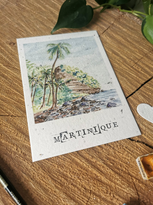 Carte ensemencée avec coordonnées GPS - Anse couleuvre - Martinique