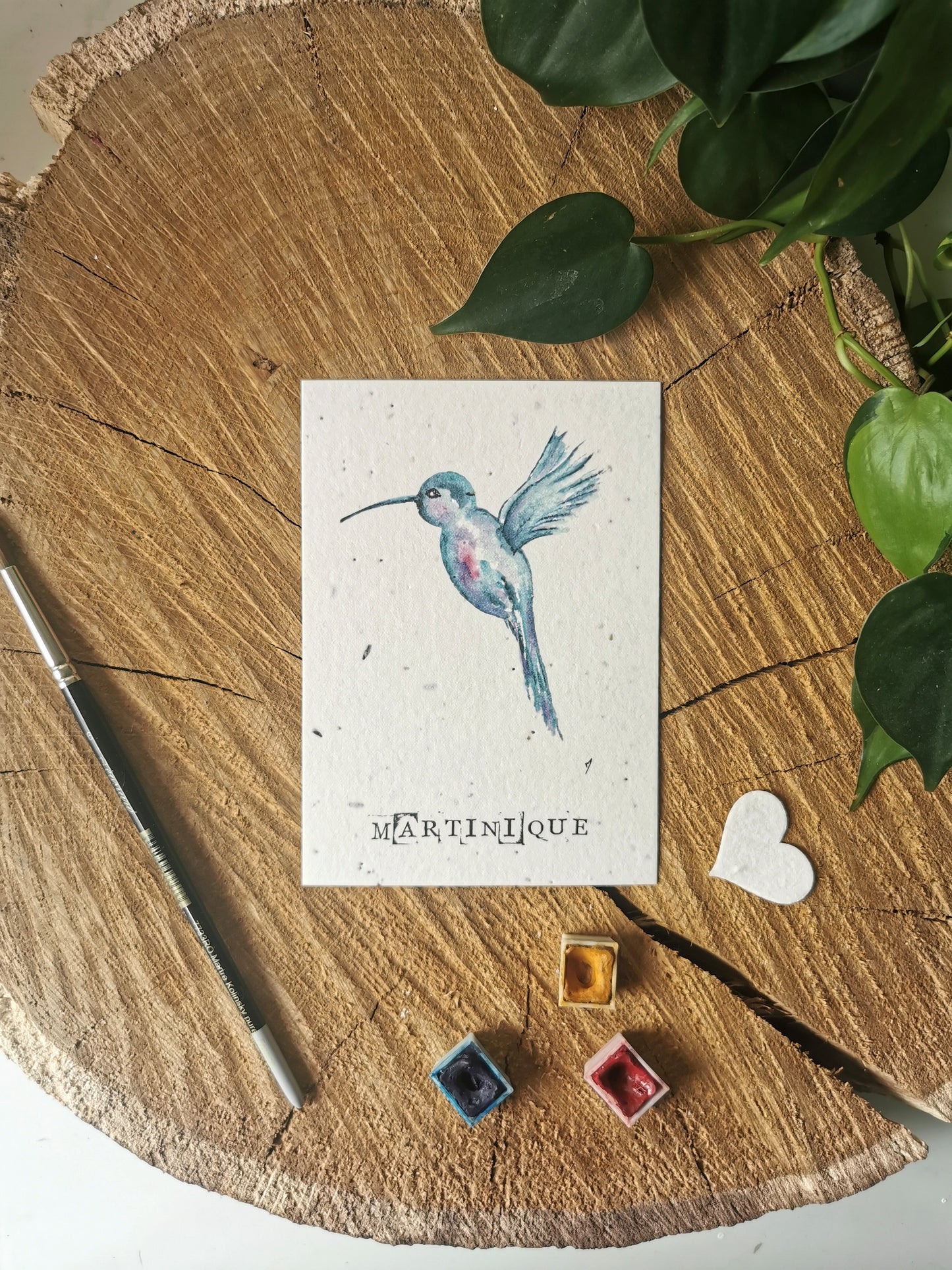 Carte ensemencée avec coordonnées GPS - Colibris - Martinique