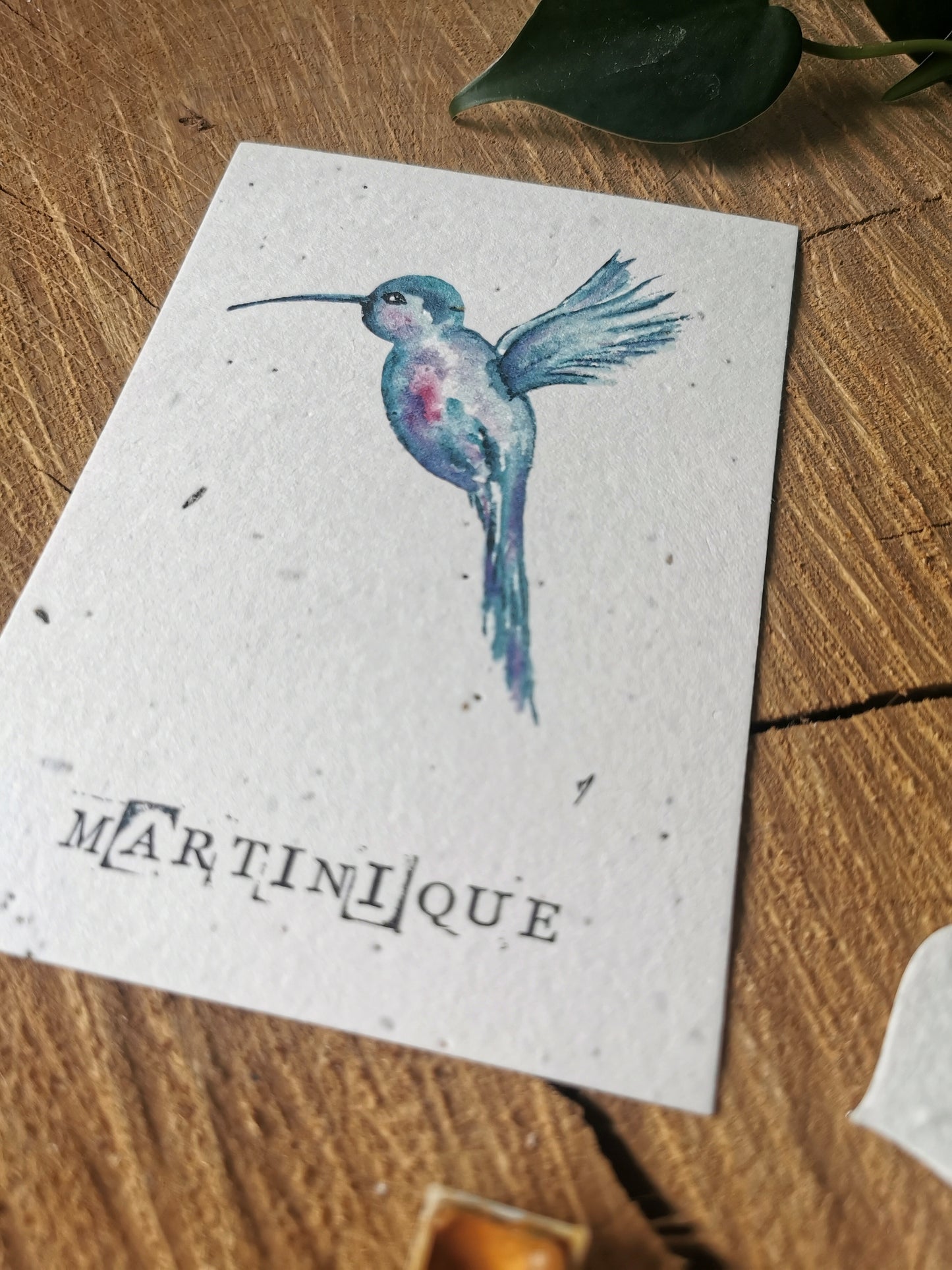 Carte ensemencée avec coordonnées GPS - Colibris - Martinique