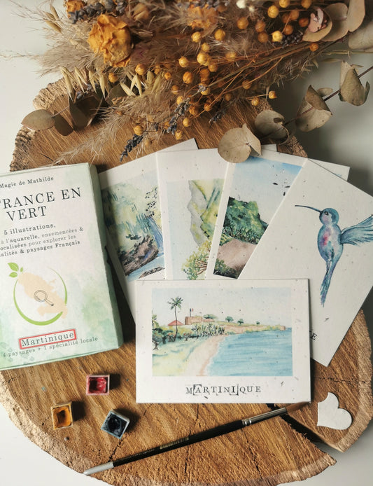Coffret de 5 aquarelles - La Martinique en Vert