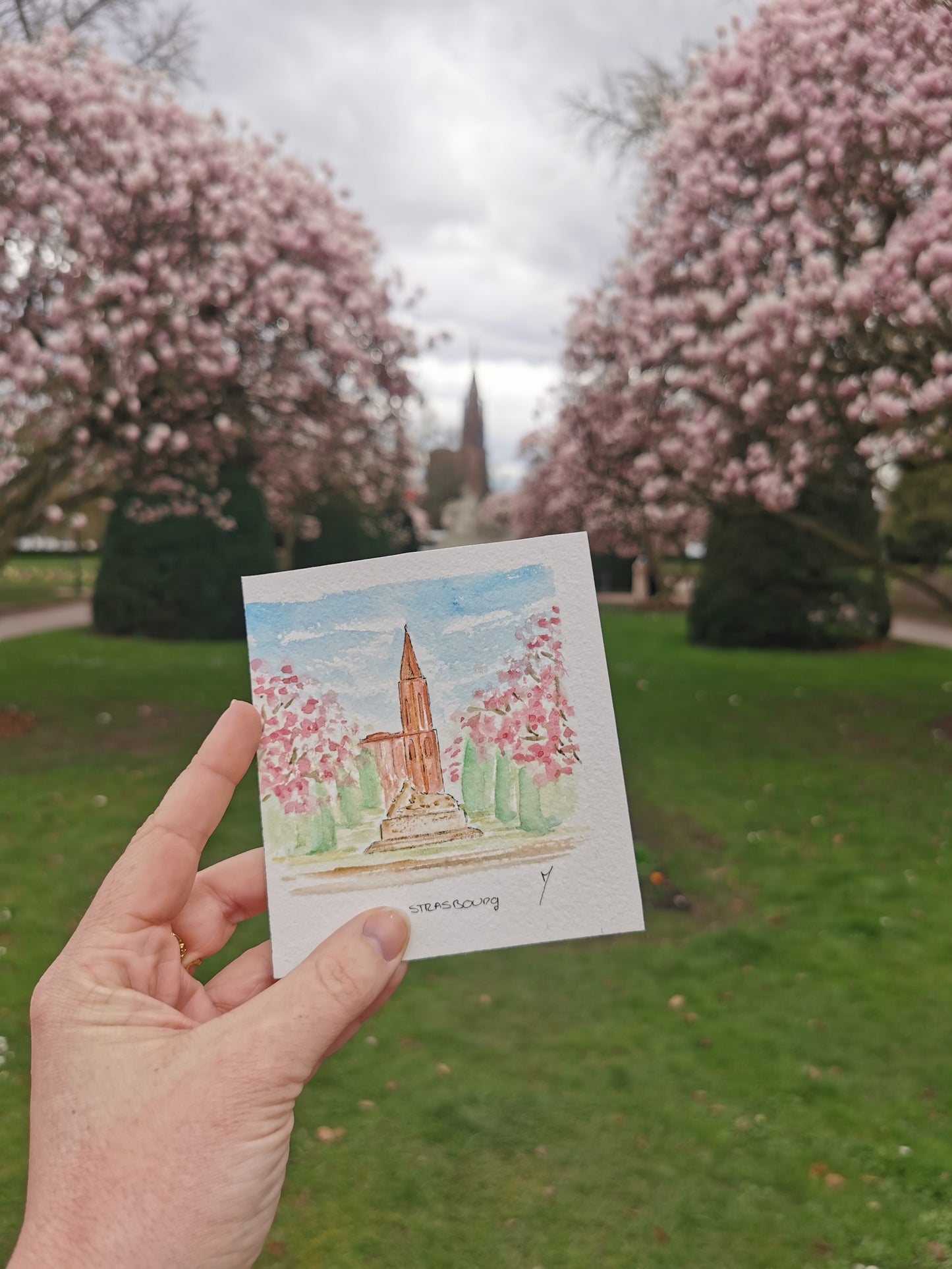 Cathédrale de Strasbourg - Alsace - Carte postale ensemencée