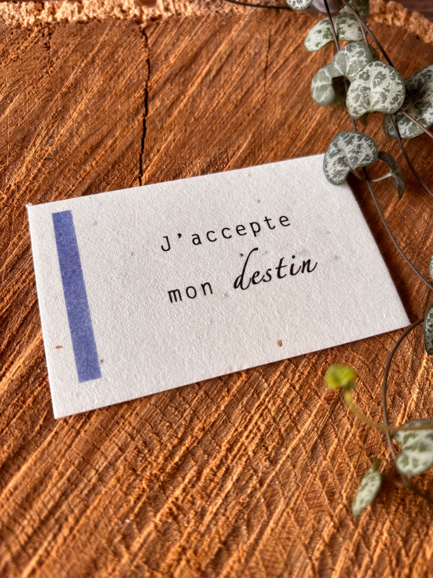 J'accepte mon destin - 5,5x8,5cm - Chakra Couronne - Carte ensemencé
