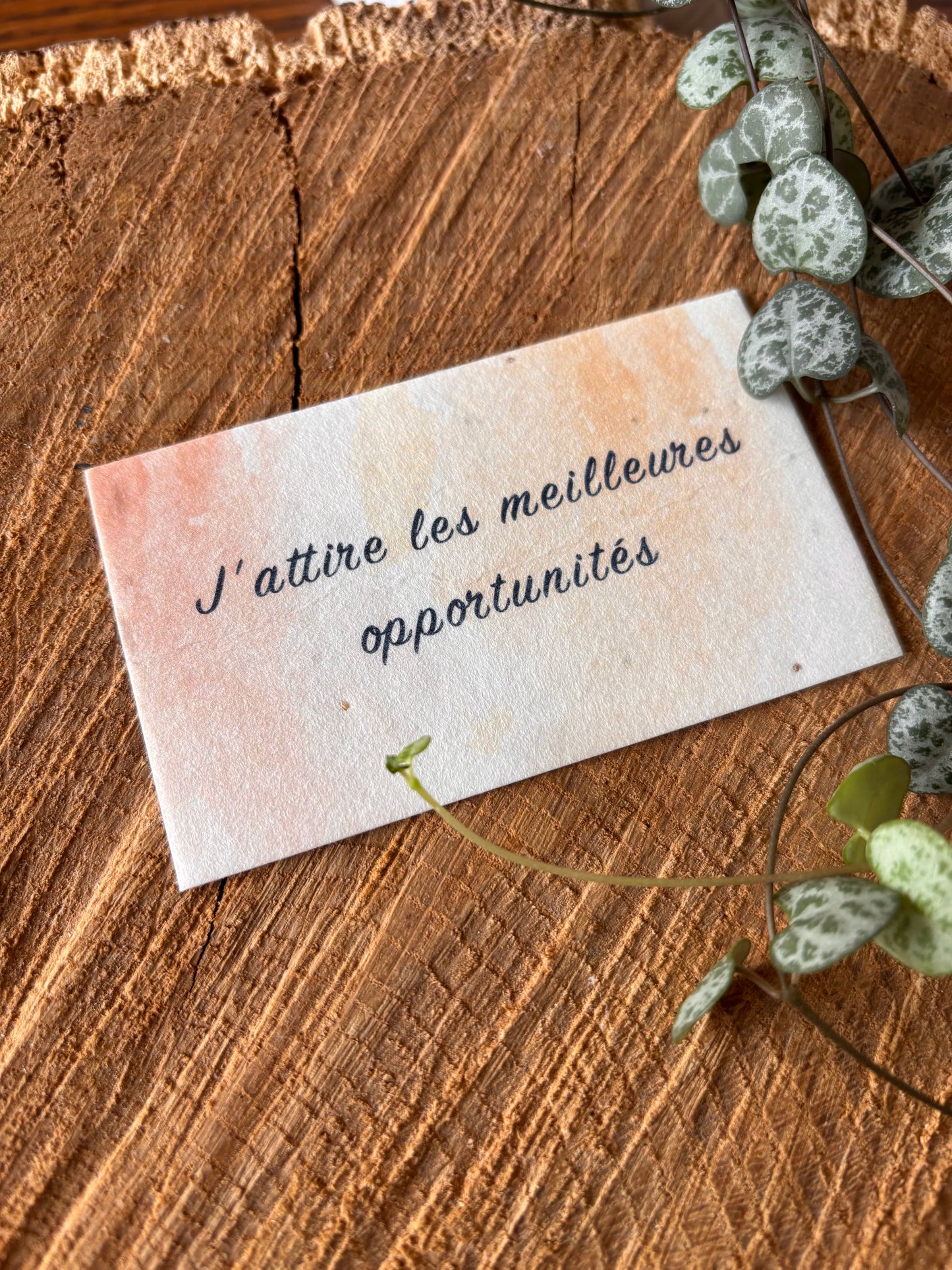 J'attire les meilleures opportunités - 5,5x8,5cm - Carte ensemencée