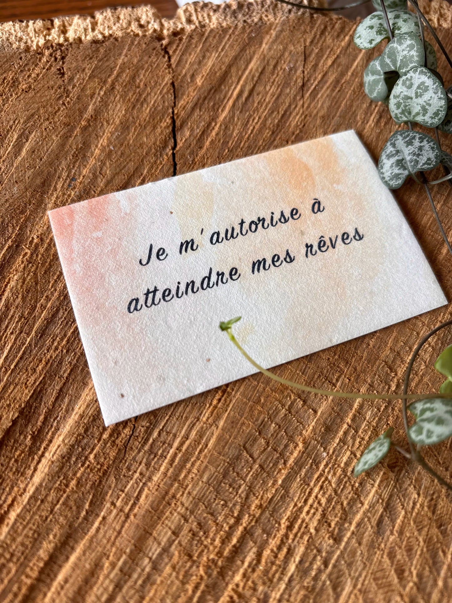 Je m'autorise à atteindre mes rêves - 5,5x8,5cm - Carte ensemencée