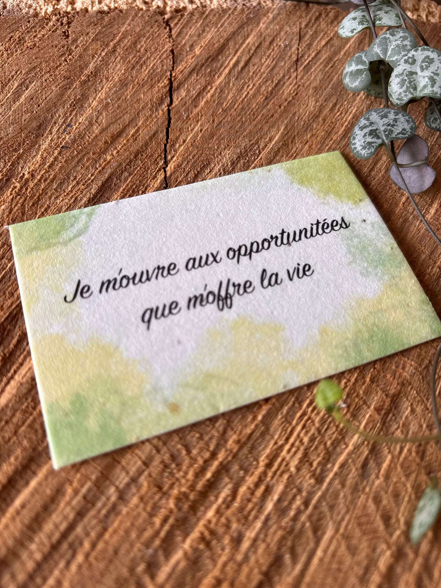 Je m'ouvre aux opportunitées que m'offre la vie - 5,5x8,5cm - Carte ensemencée