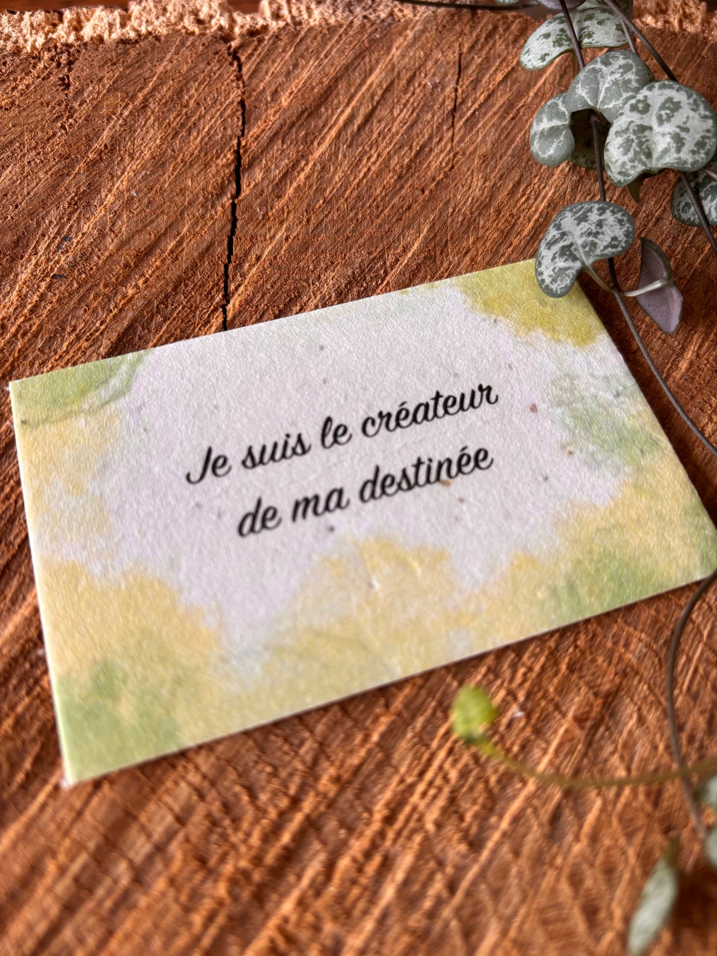 Je suis le créateur de ma destinée - 5,5x8,5cm - Carte ensemencée