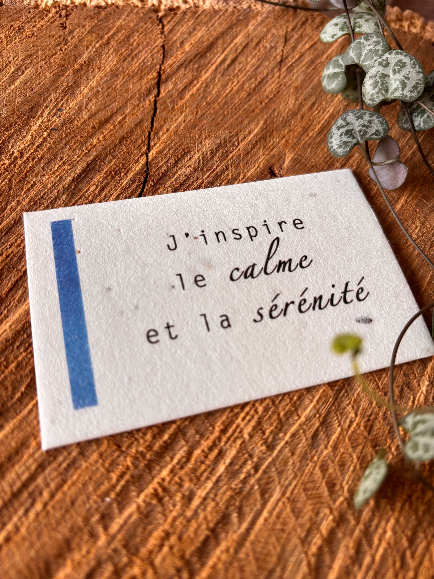 J'inspire le calme et la sérénité - 5,5x8,5cm - Chakra Gorge - Carte ensemencée
