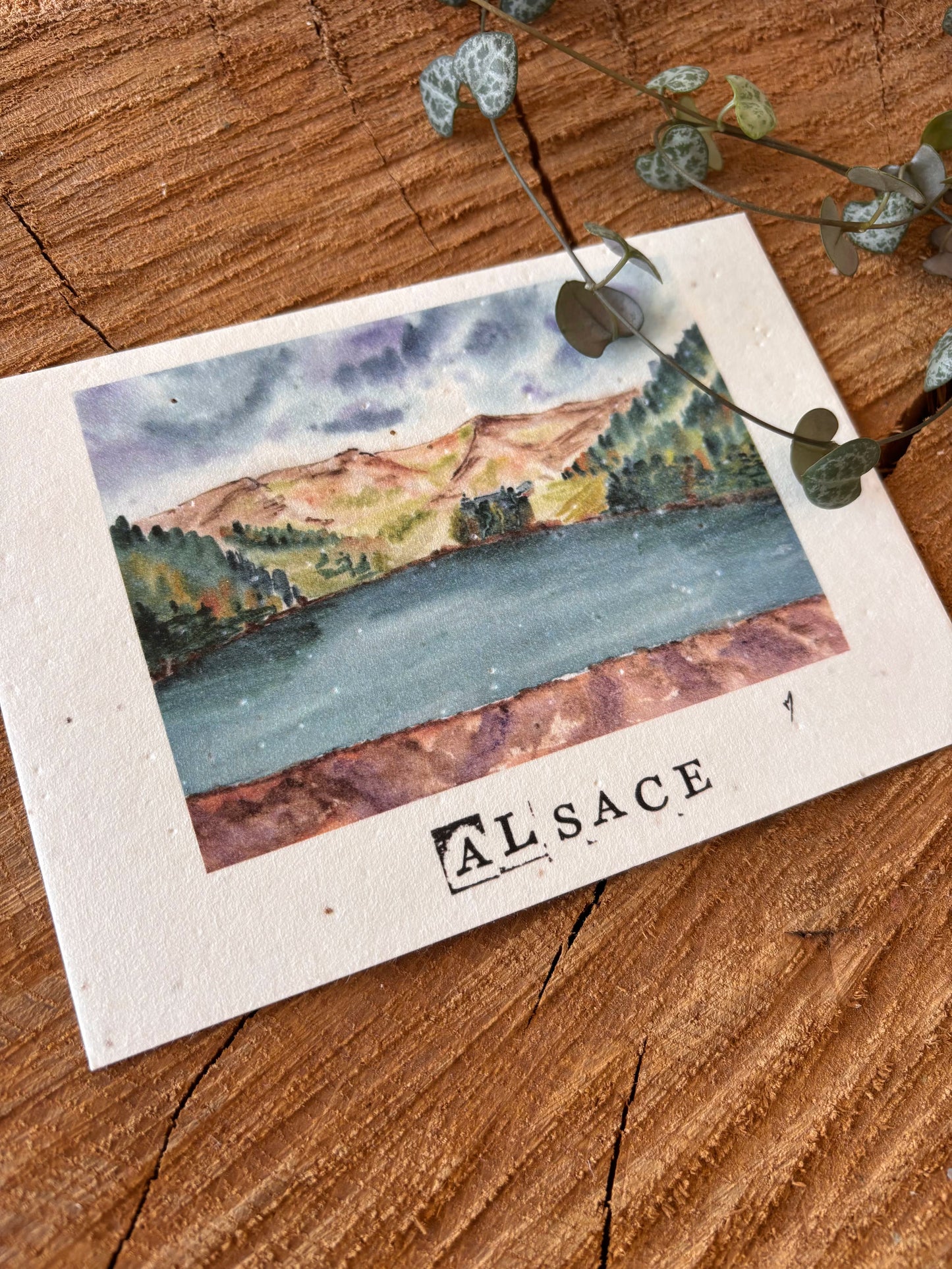 Lac des Truites - Alsace - Haut-Rhin - Carte aquarelle - 10,5x14,8cm