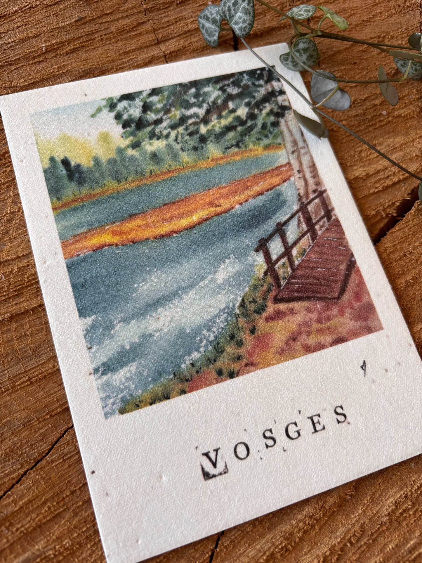 Lac de Lispach - Vosges - Carte aquarelle - 10,5x14,8cm