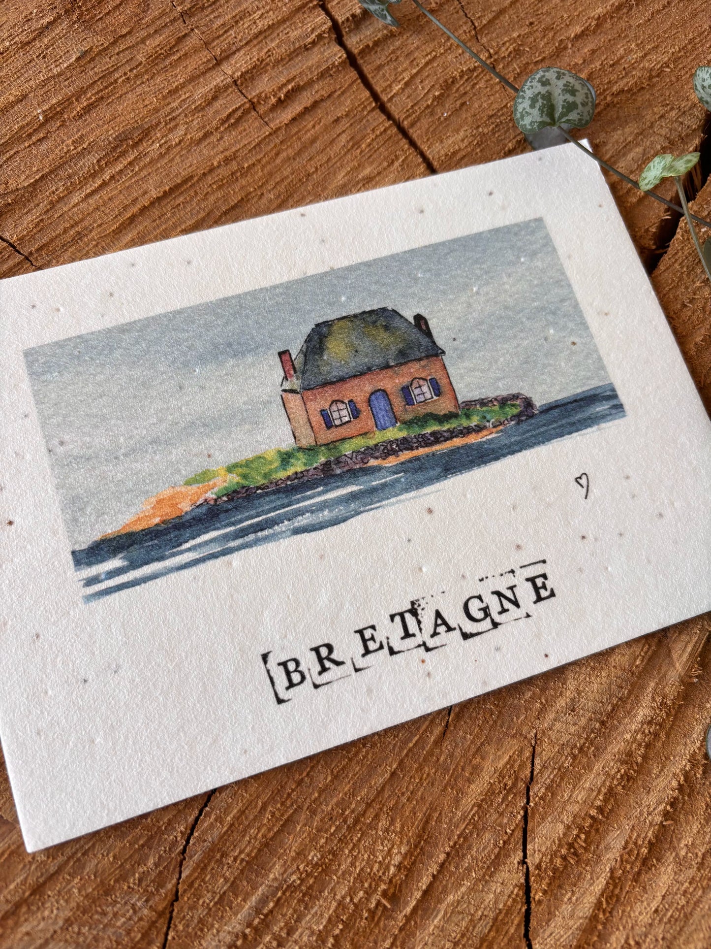 Maison de l'huître - Morbihan - Carte aquarelle - 10,5x14,8cm