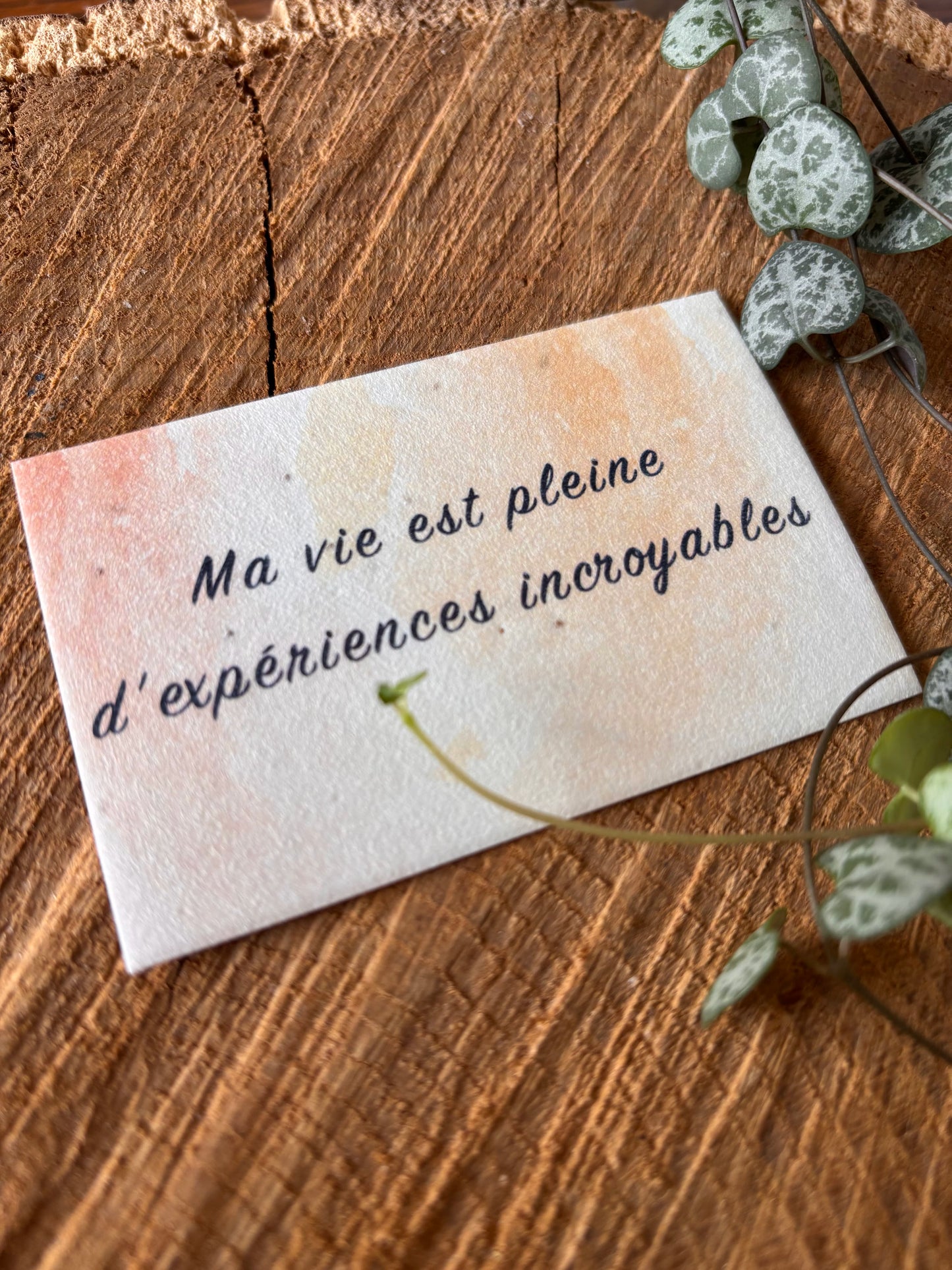 Ma vie est pleine d'expériences incroyables - 5,5x8,5cm - Carte ensemencée