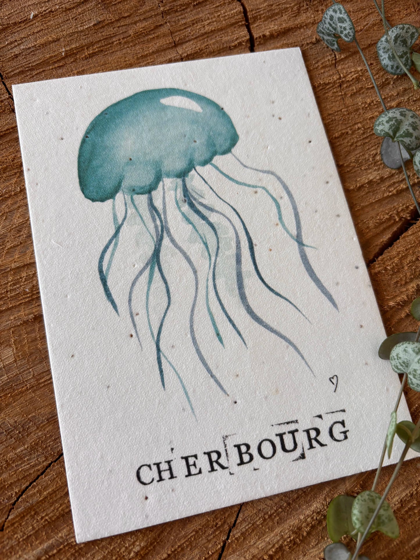 Méduse- Manche - Carte aquarelle - 10,5x14,8cm