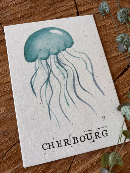 Méduse- Manche - Carte aquarelle - 10,5x14,8cm