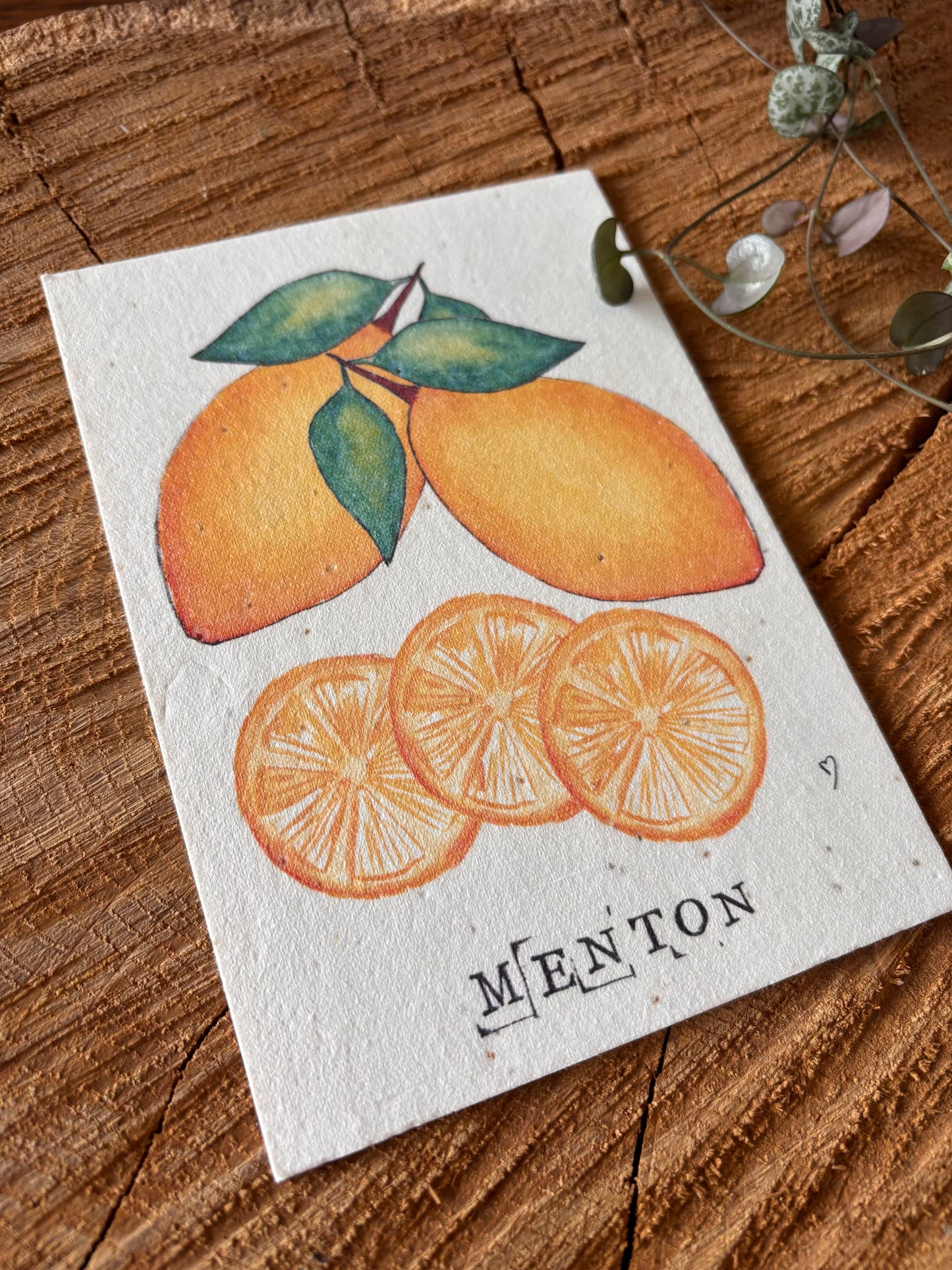 Citron de Menton - Alpes-Maritimes - Carte aquarelle - 10,5x14,8cm