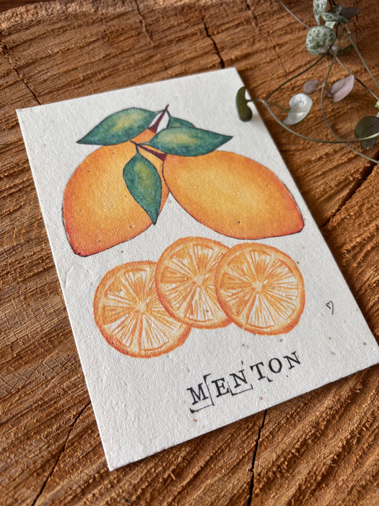 Citron de Menton - Alpes-Maritimes - Carte aquarelle - 10,5x14,8cm