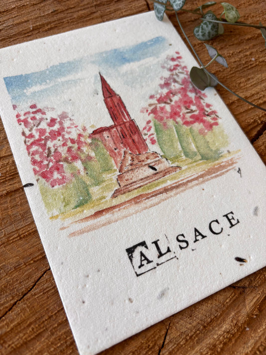 Cathédrale de Strasbourg - Alsace - Carte aquarelle - 10,5x14,8cm