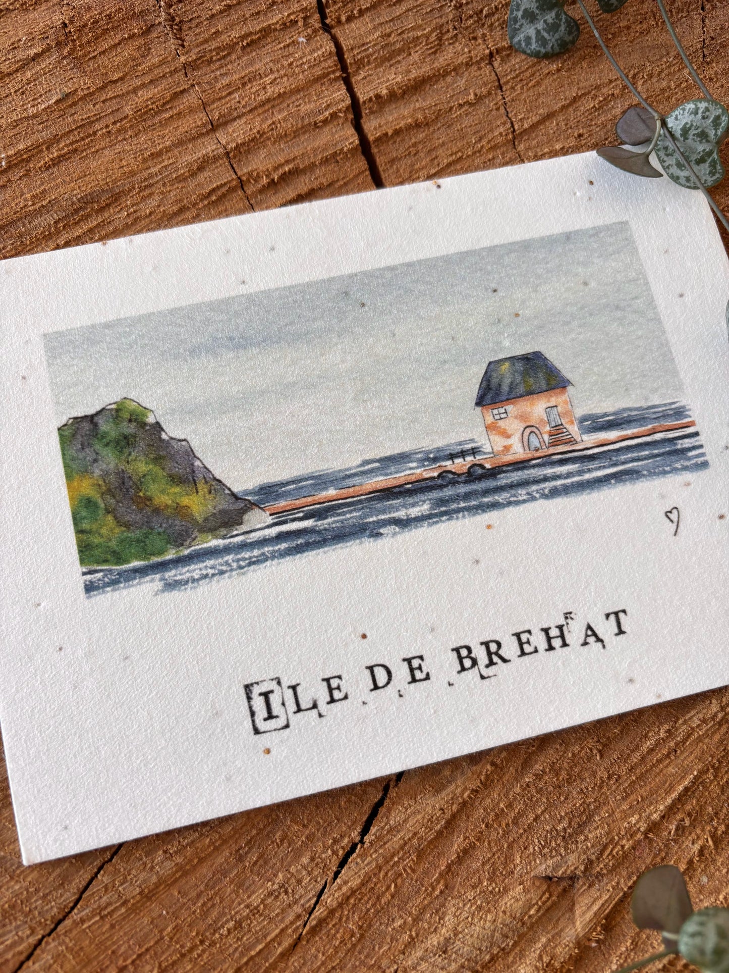 Moulin à marée - Côtes d'Armor - Carte aquarelle - 10,5x14,8cm