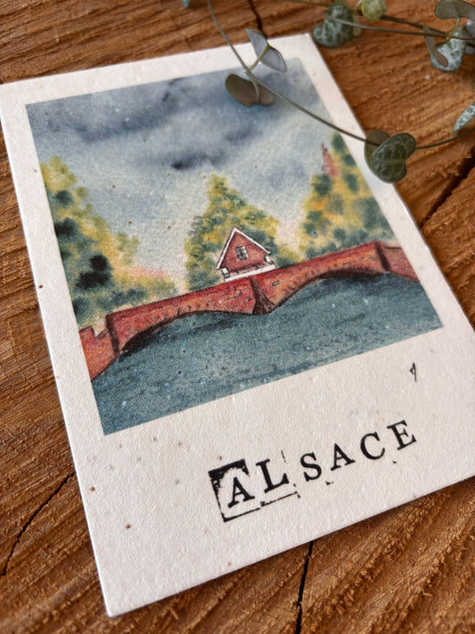 Petite France - Strasbourg - Carte aquarelle - 10,5x14,8cm