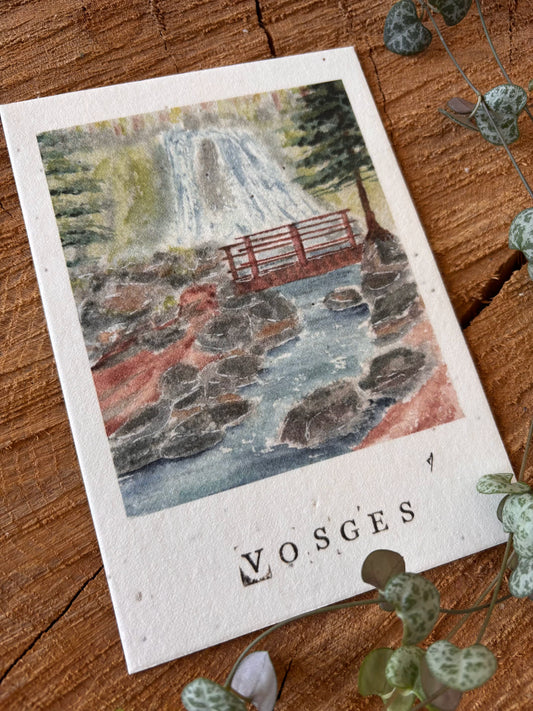 Cascade de la Pissoire - Vosges - Carte aquarelle - 10,5x14,8cm