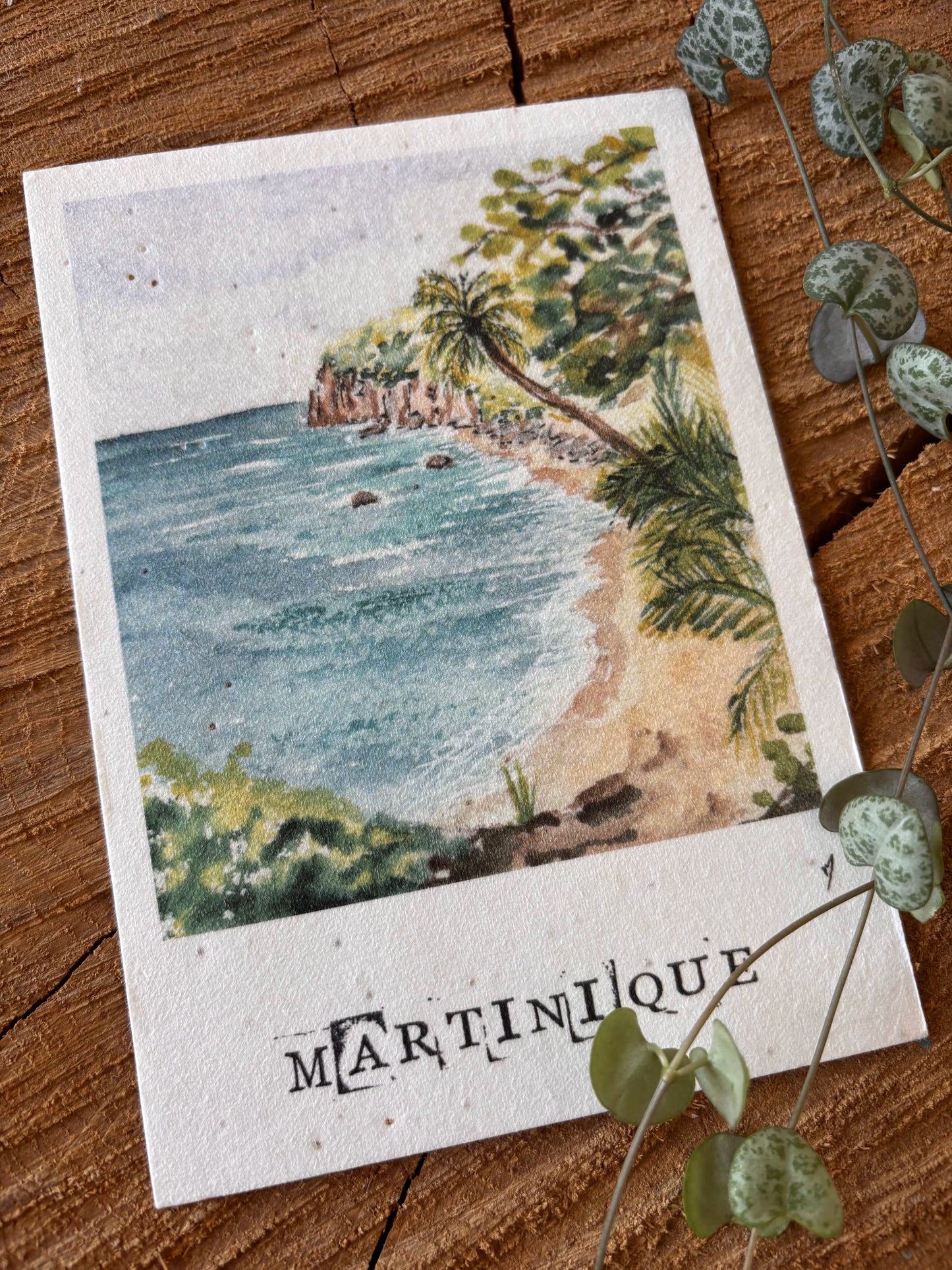 Plage Argand - Martinique - Carte aquarelle - 10,5x14,8cm