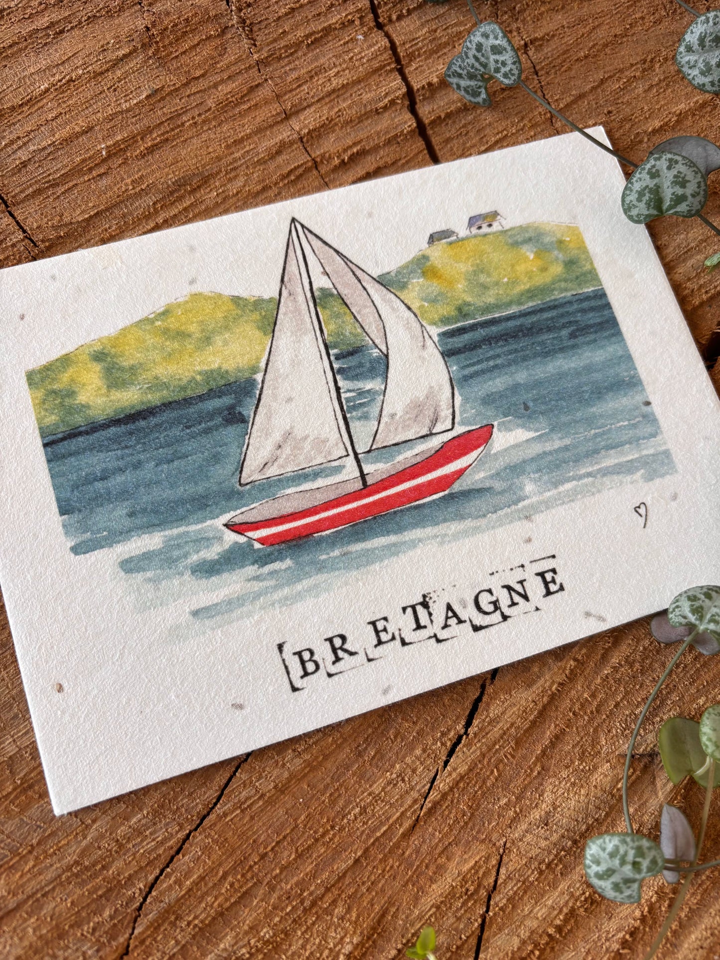 Port du Crouesty - Morbihan  - Carte aquarelle - 10,5x14,8cm