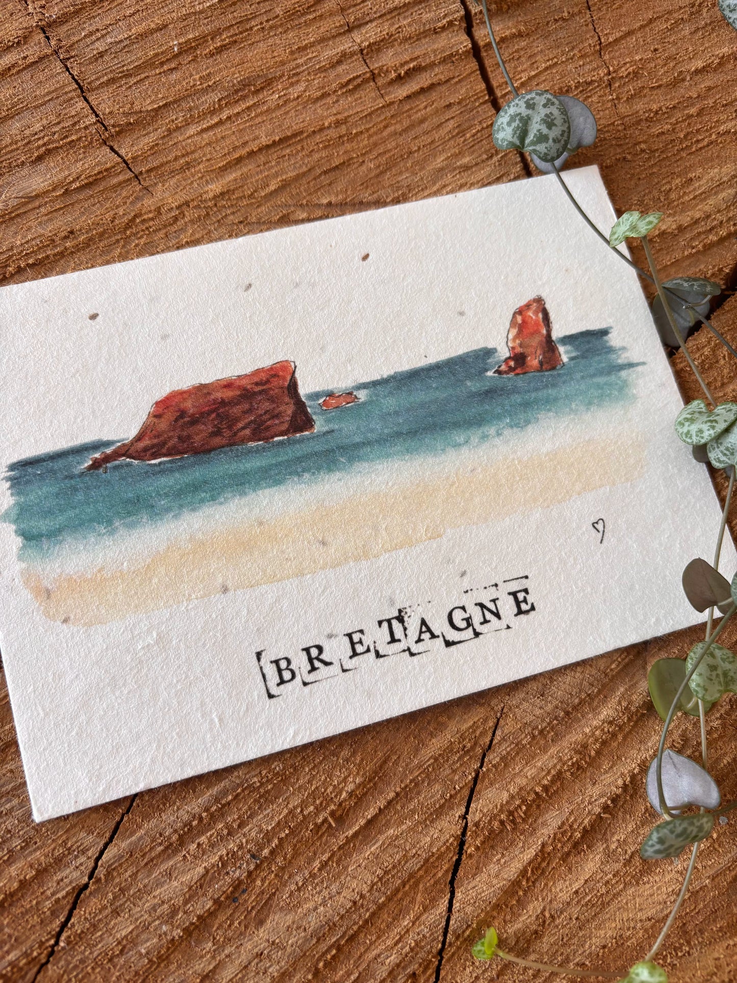 Quiberon - Morbihan - Carte aquarelle - 10,5x14,8cm