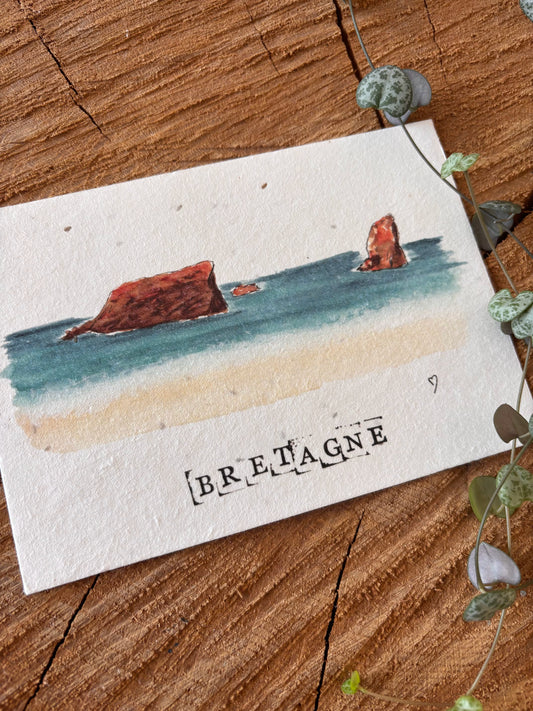 Quiberon - Morbihan - Carte aquarelle - 10,5x14,8cm