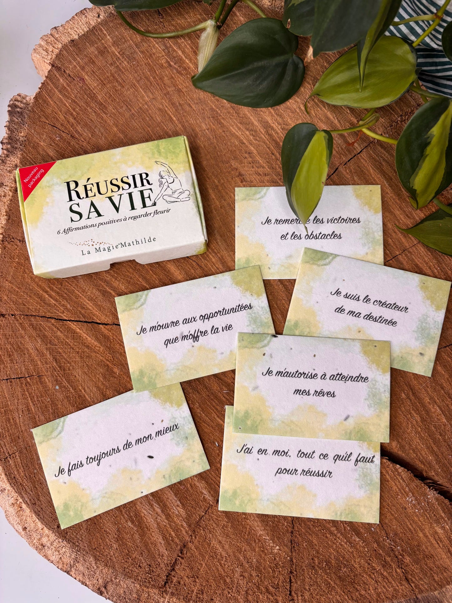 Réussir sa vie - Affirmations positives à regarder fleurir - 5,5 x 8,5cm