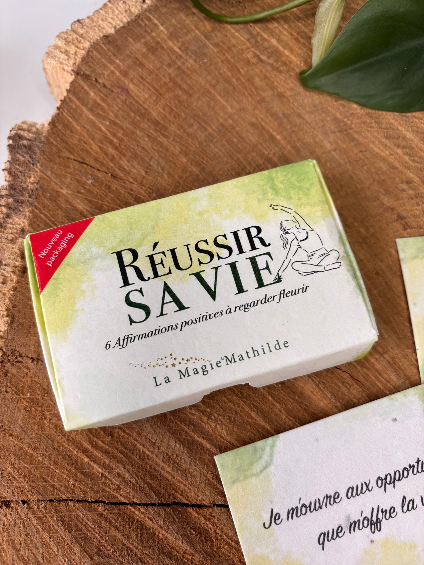 Coffret Réussir sa vie - 6 affirmations positives à regarder fleurir - 5,5x8,5cm