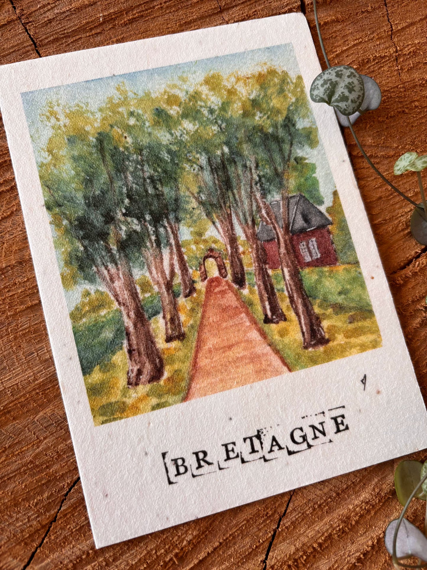 Rochefort-en-Terre - Morbihan - Carte aquarelle - 10,5x14,8cm