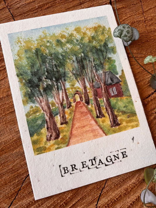 Rochefort-en-Terre - Morbihan - Carte aquarelle - 10,5x14,8cm