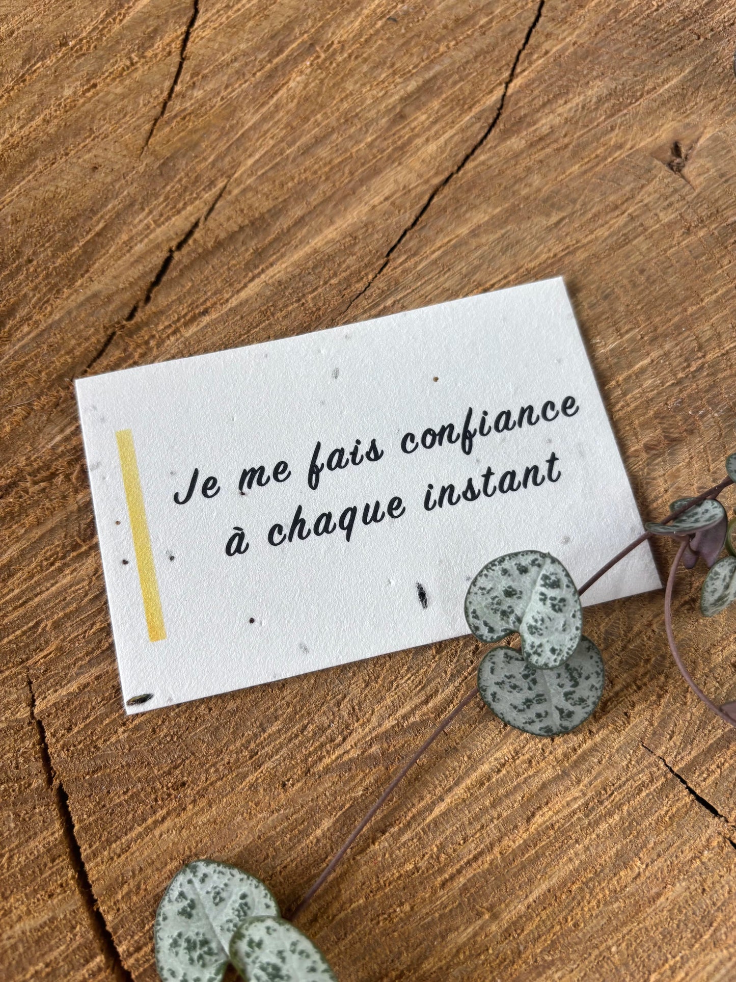 Je me fais confiance à chaque instant - 5,5x8,5cm - Chakra Solaire - Carte ensemencée