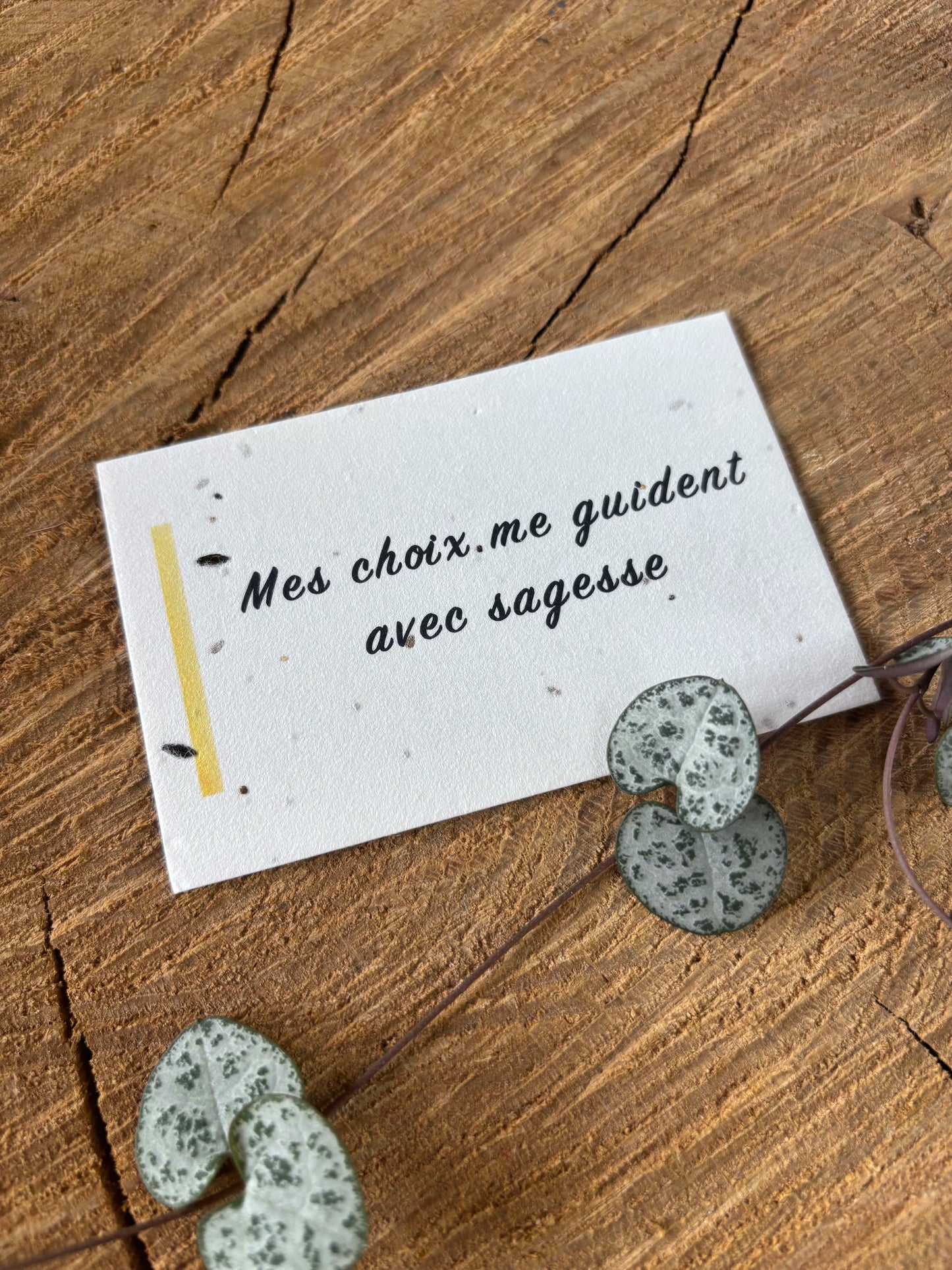 Mes choix me guident avec sagesse - 5,5x8,5cm - Chakra Solaire - Carte ensemencée